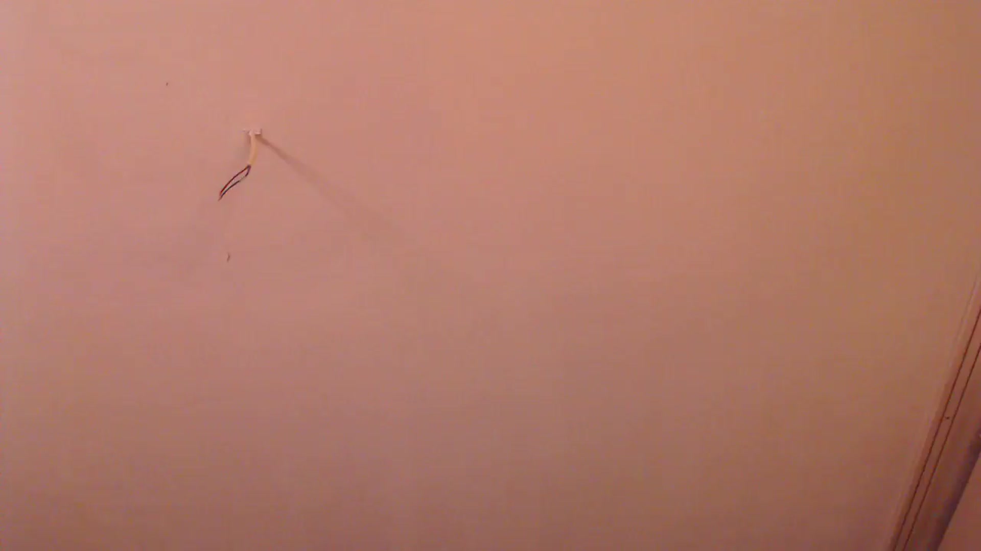 Gallery image thumbnail from HotRebbecca's myfreecams stream on, 12/22/2025, 03:16 image 2 of 20