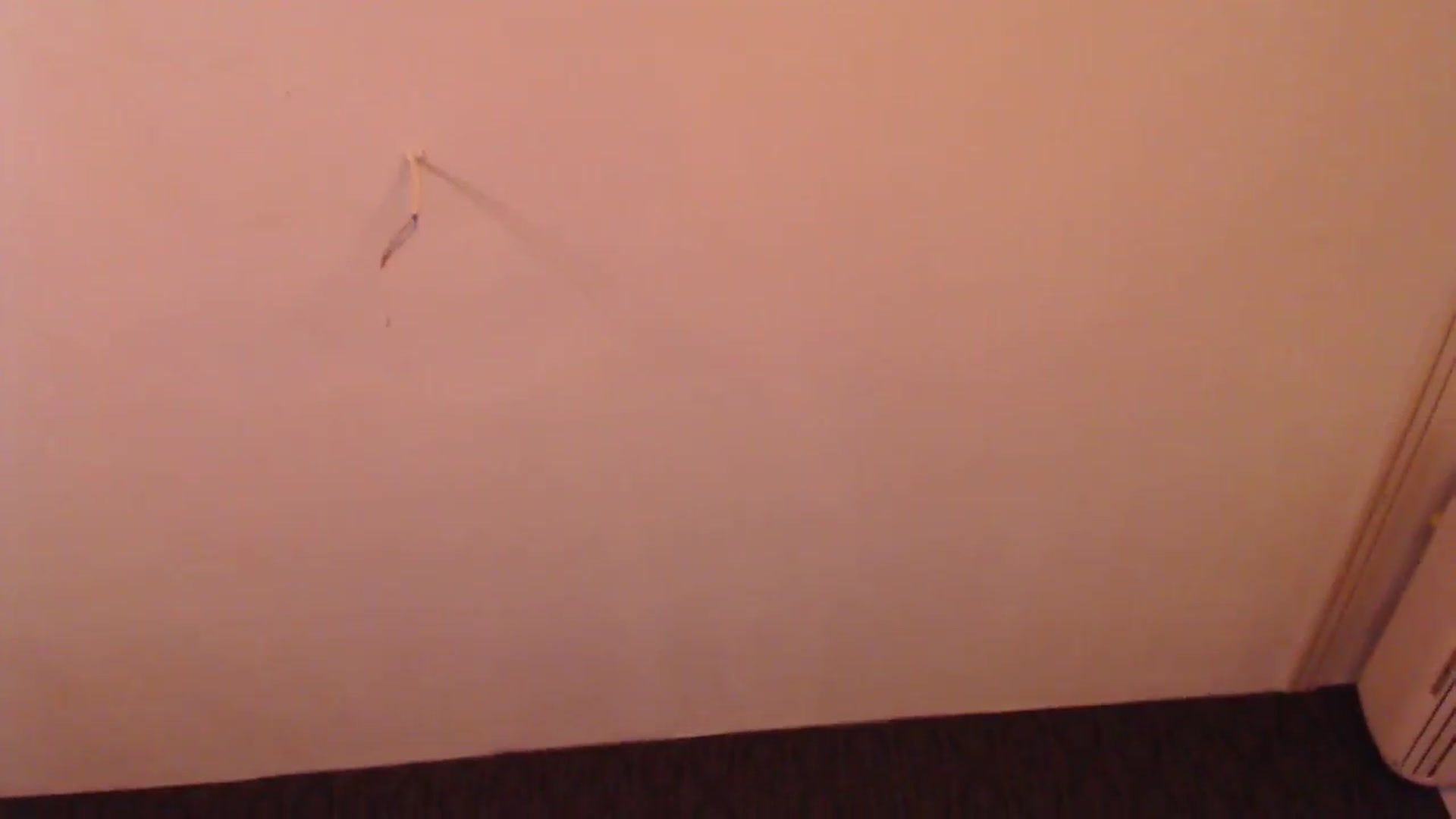 Gallery image thumbnail from HotRebbecca's myfreecams stream on, 12/22/2025, 04:22 image 4 of 20
