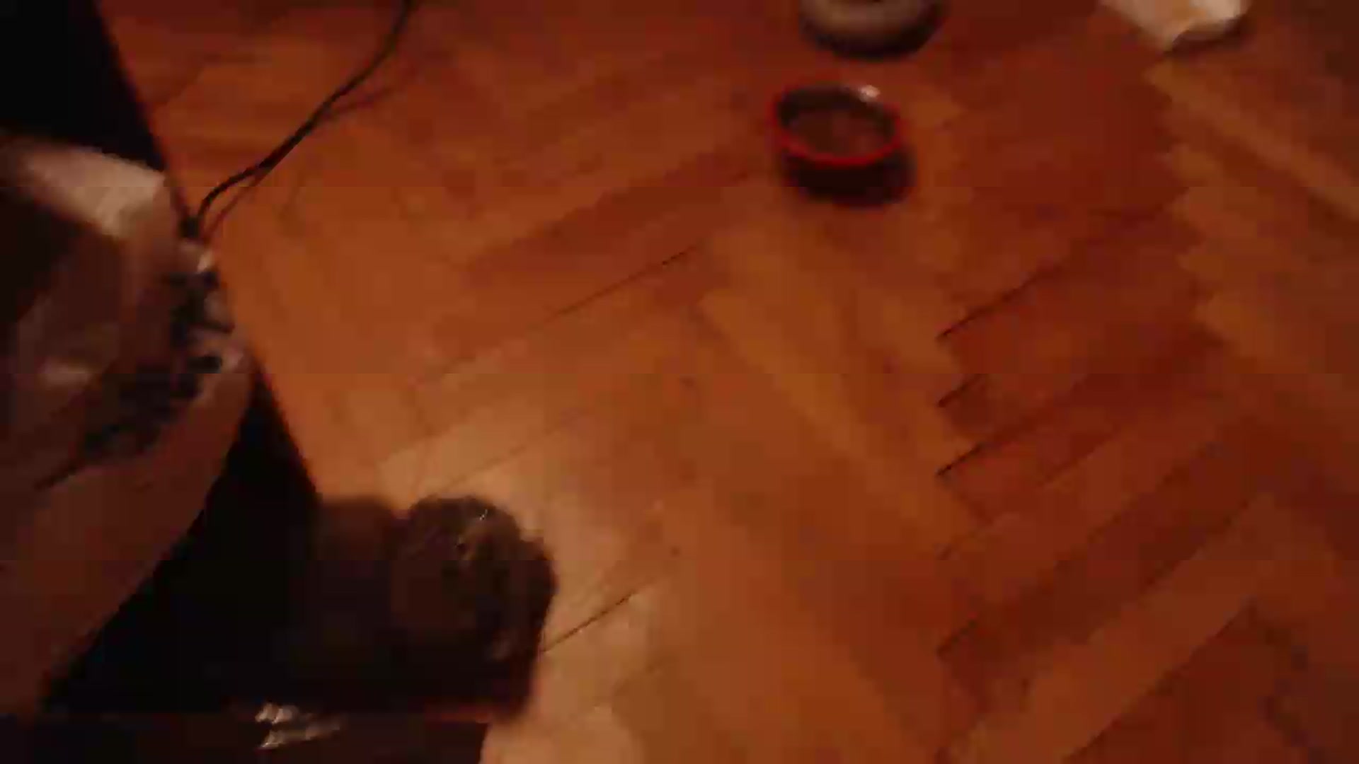 Gallery image thumbnail from HotRebbecca's myfreecams stream on, 05/20/2026, 22:47 image 13 of 20