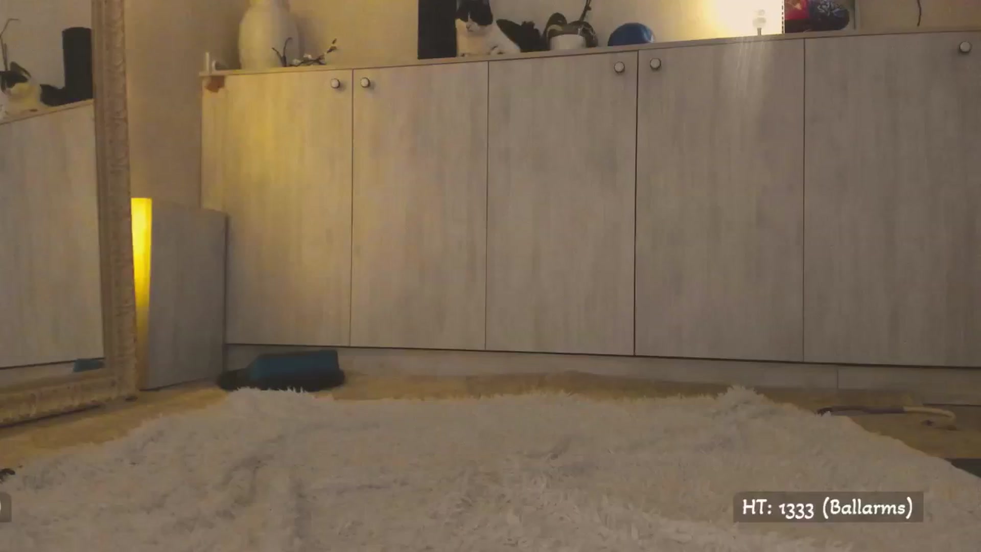 Gallery image thumbnail from Hot_Bun's myfreecams stream on, 04/19/2025, 02:28 image 17 of 20