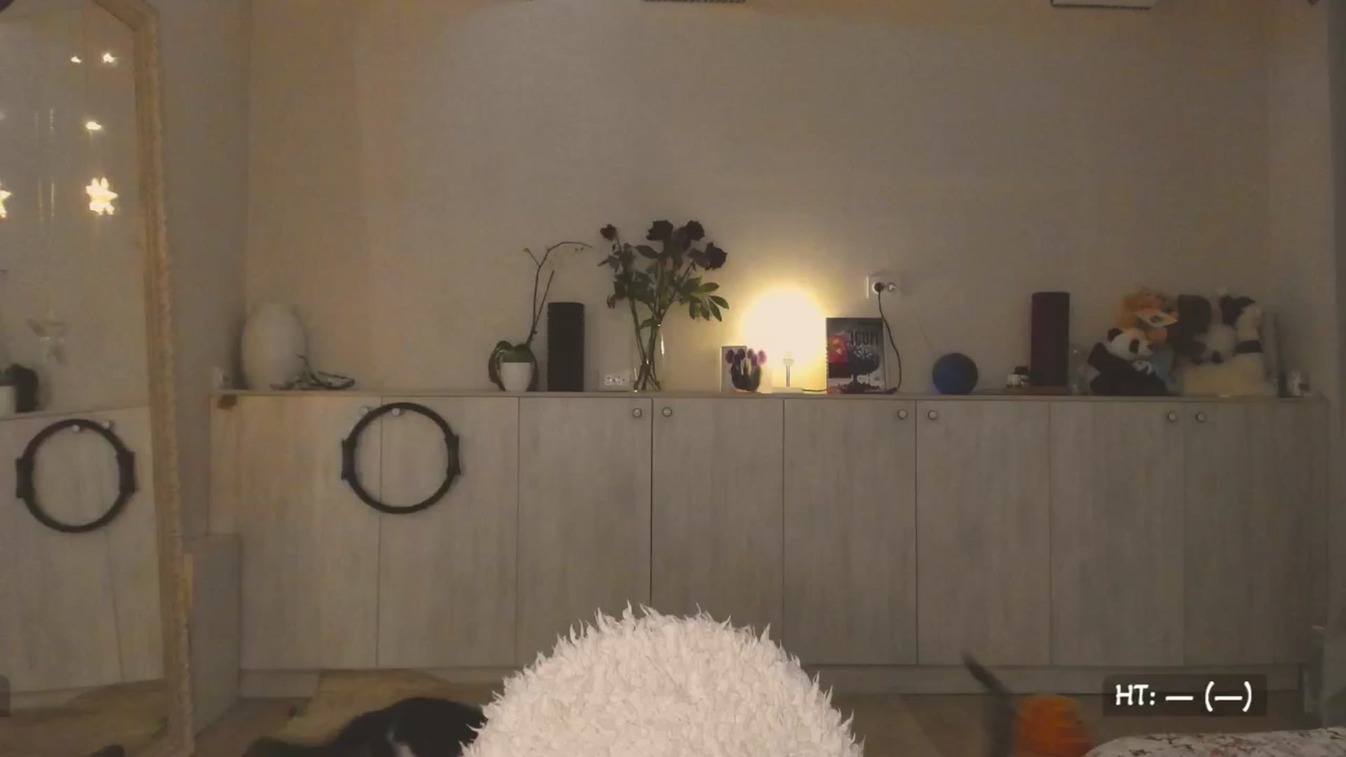 Gallery image thumbnail from Hot_Bun's myfreecams stream on, 04/29/2025, 23:51 image 3 of 20