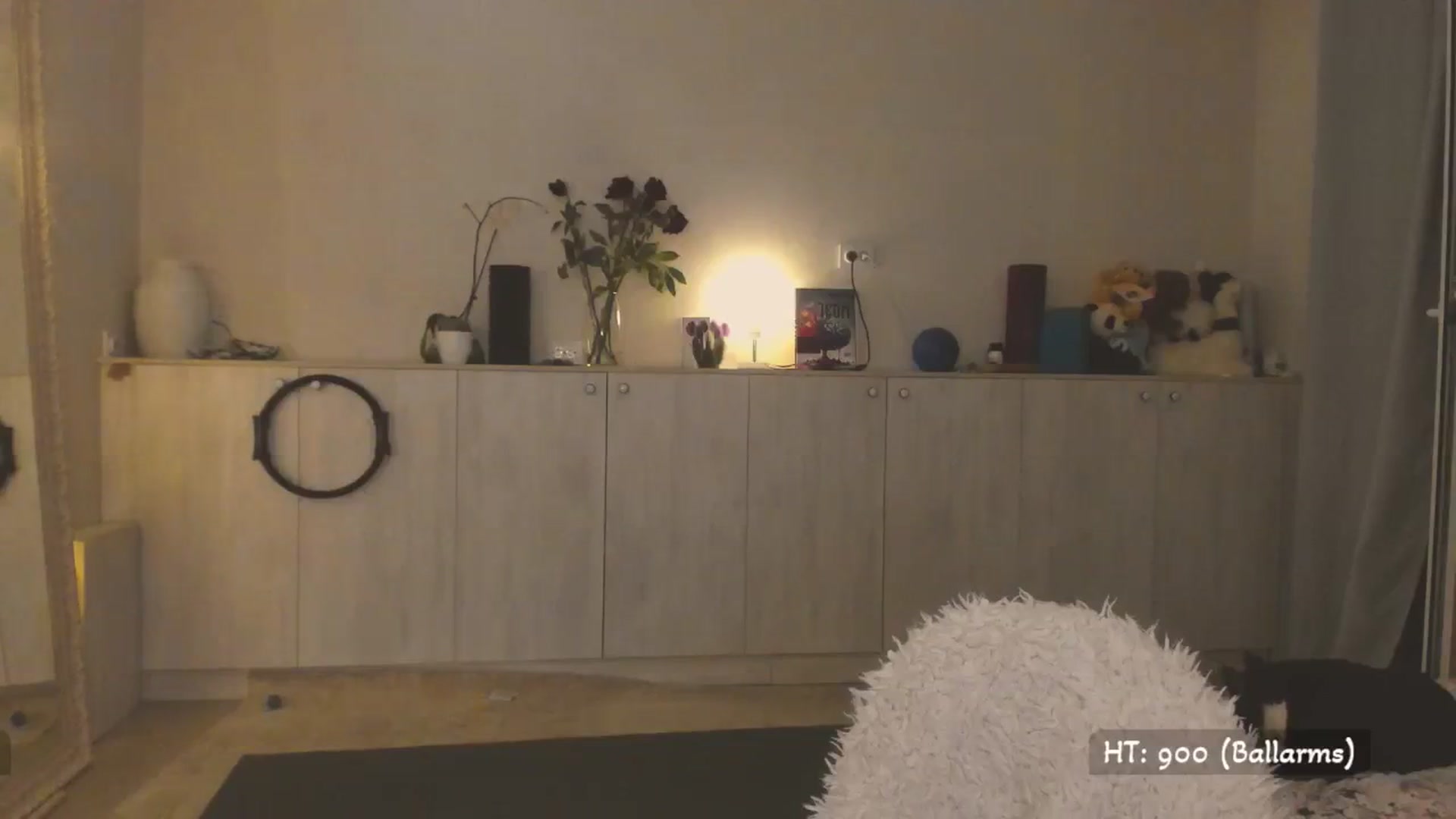 Gallery image thumbnail from Hot_Bun's myfreecams stream on, 05/03/2025, 01:38 image 9 of 20