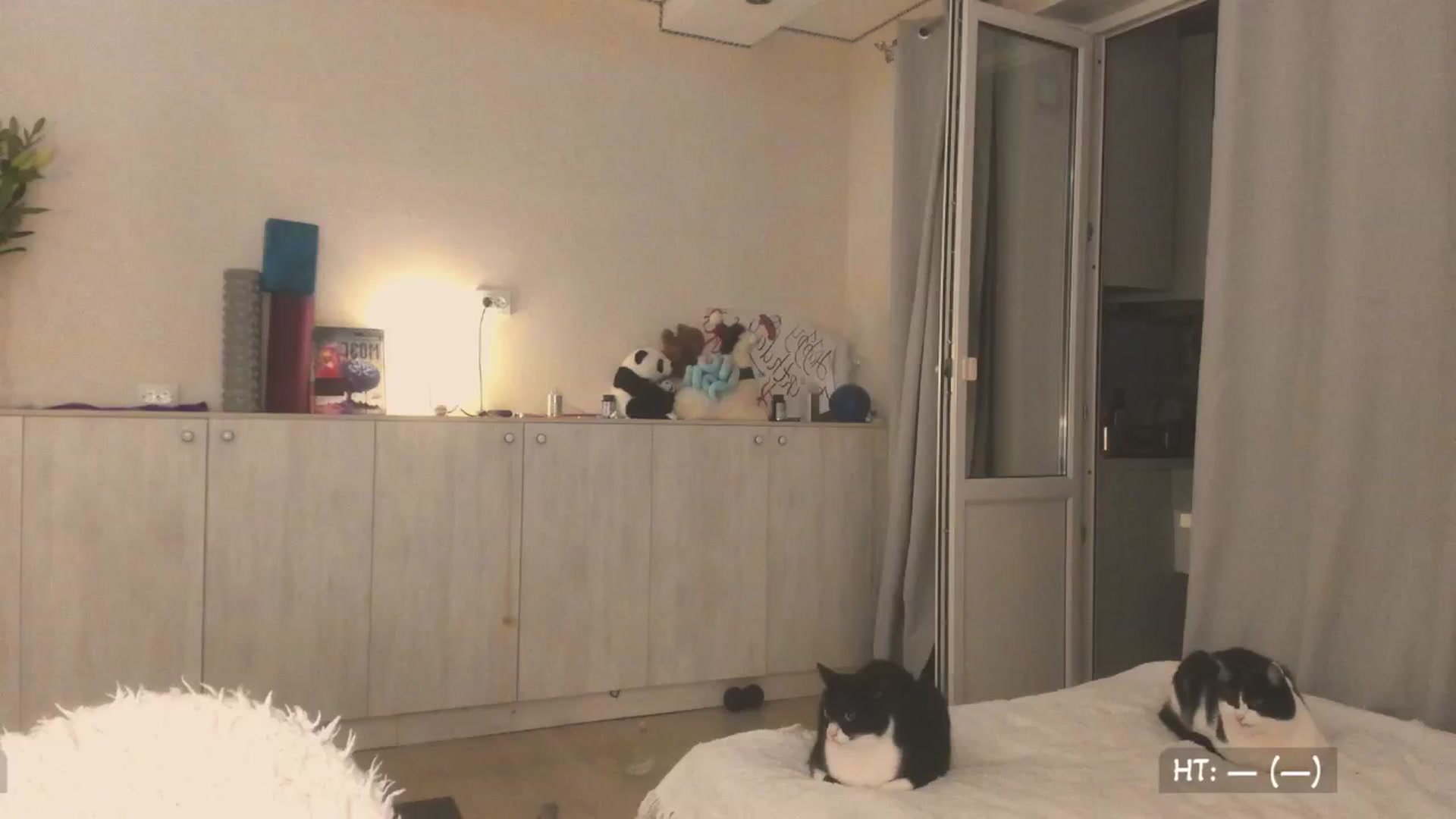 Gallery image thumbnail from Hot_Bun's myfreecams stream on, 06/28/2025, 24:01 image 9 of 20