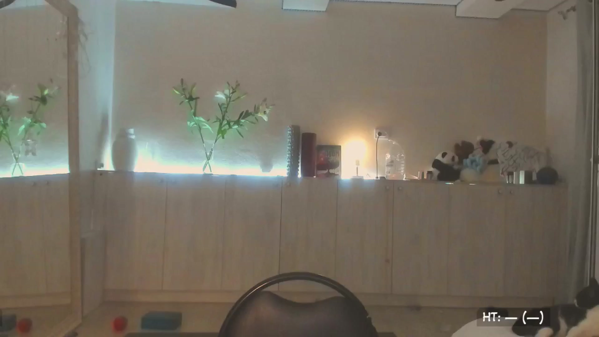 Gallery image thumbnail from Hot_Bun's myfreecams stream on, 06/30/2025, 01:23 image 11 of 20