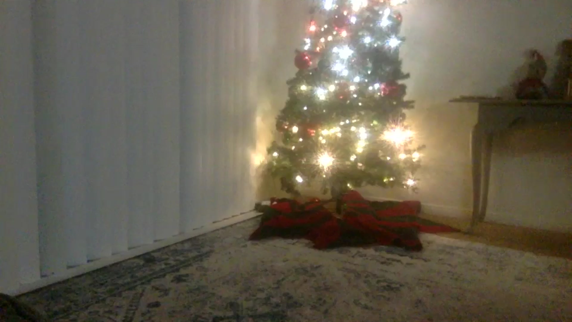 Gallery image thumbnail from Hotpinkbox00's myfreecams stream on, 11/27/2024, 14:39 image 20 of 20
