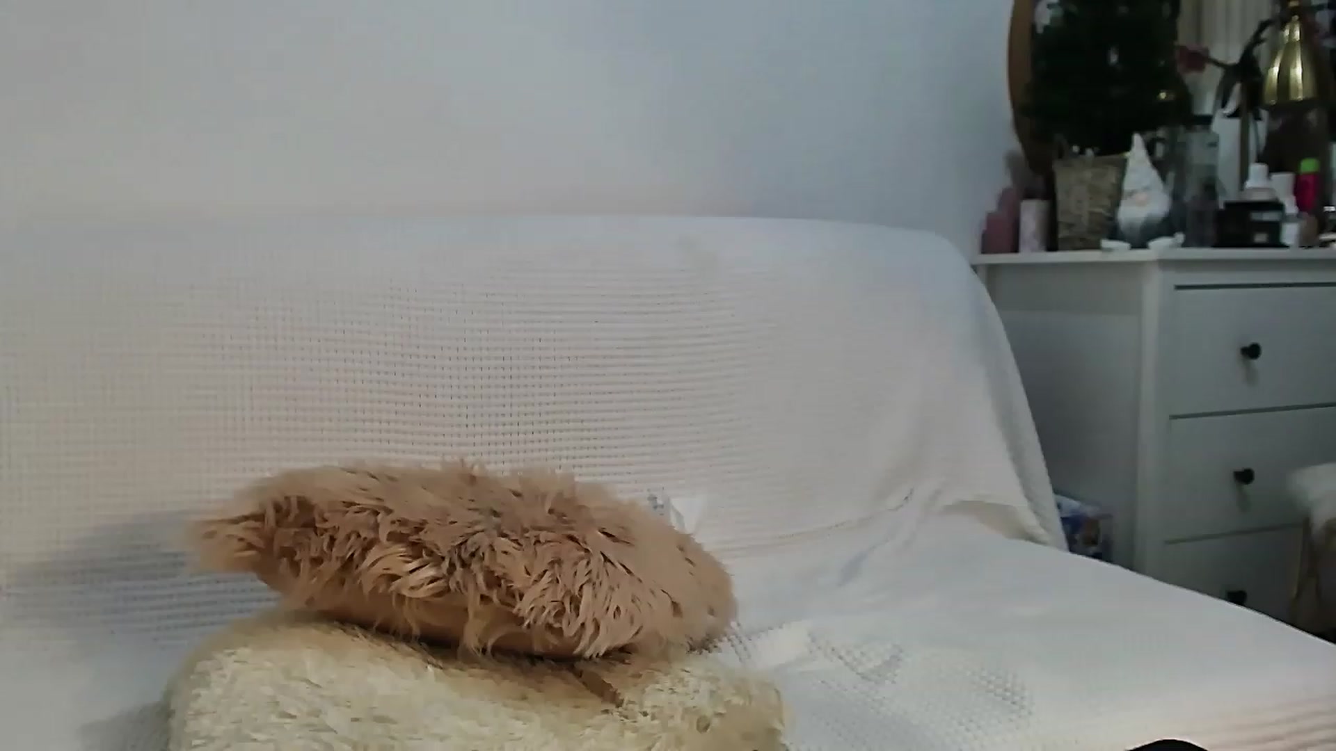 Gallery image thumbnail from HottieEva_'s myfreecams stream on, 01/13/2023, 22:53 image 19 of 20
