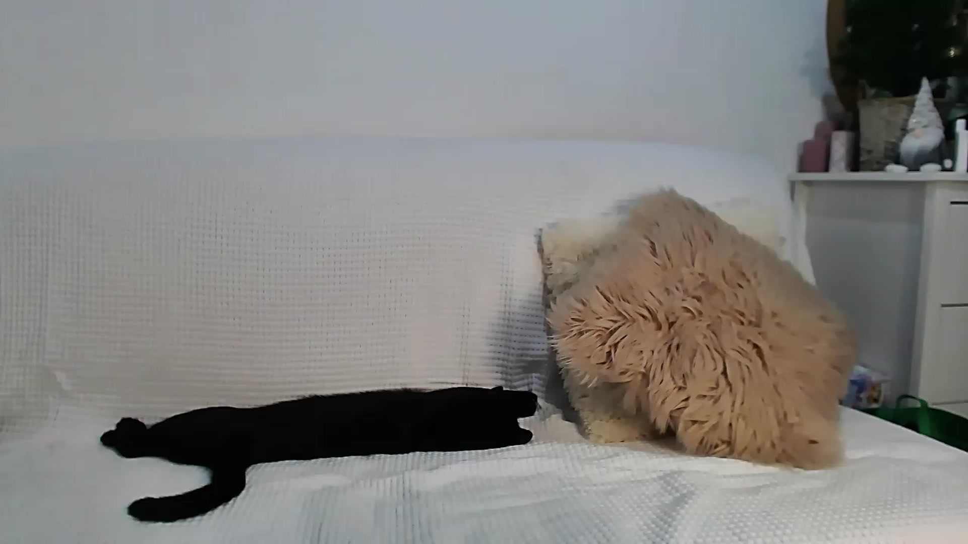 Gallery image thumbnail from HottieEva_'s myfreecams stream on, 01/22/2023, 24:14 image 14 of 20