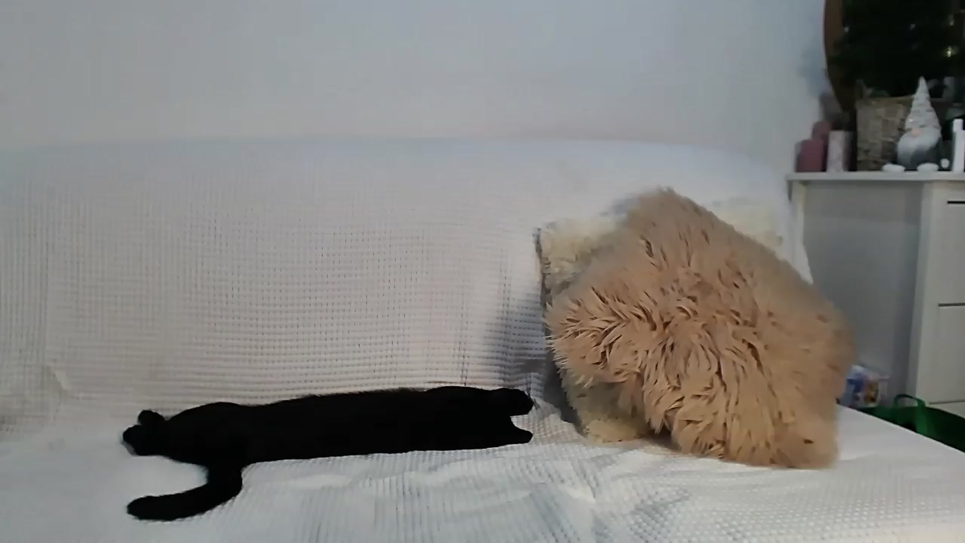 Gallery image thumbnail from HottieEva_'s myfreecams stream on, 01/22/2023, 24:14 image 16 of 20