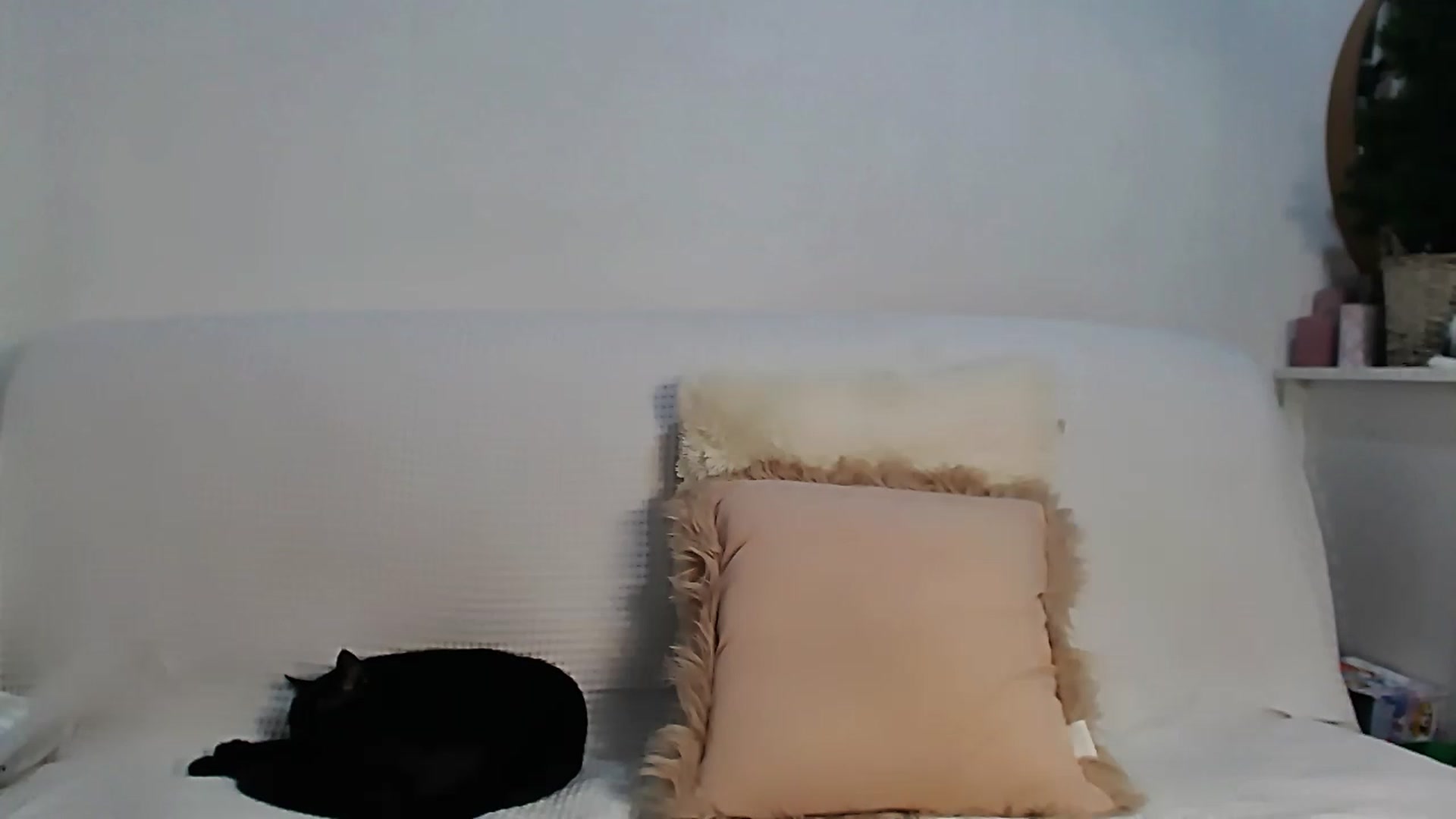 Gallery image thumbnail from HottieEva_'s myfreecams stream on, 01/22/2023, 24:14 image 2 of 20