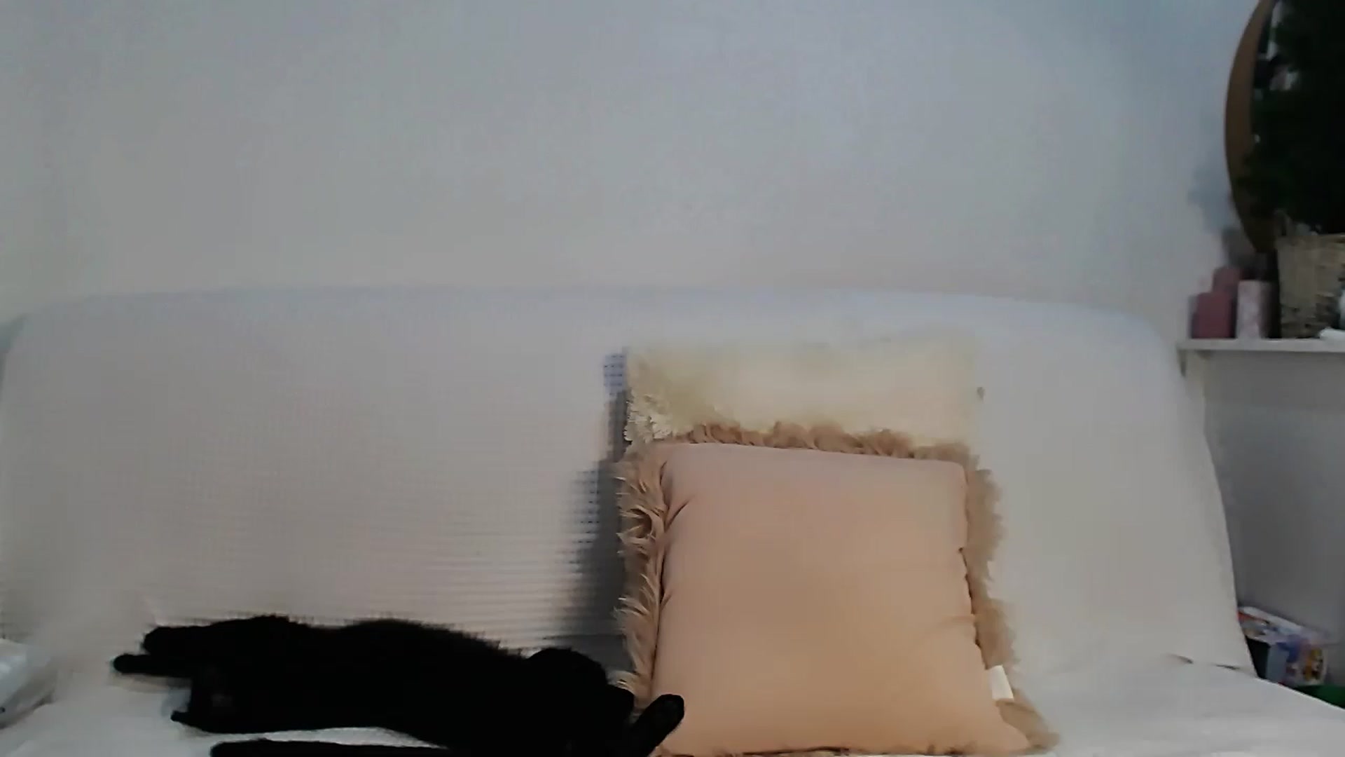 Gallery image thumbnail from HottieEva_'s myfreecams stream on, 01/22/2023, 24:14 image 3 of 20