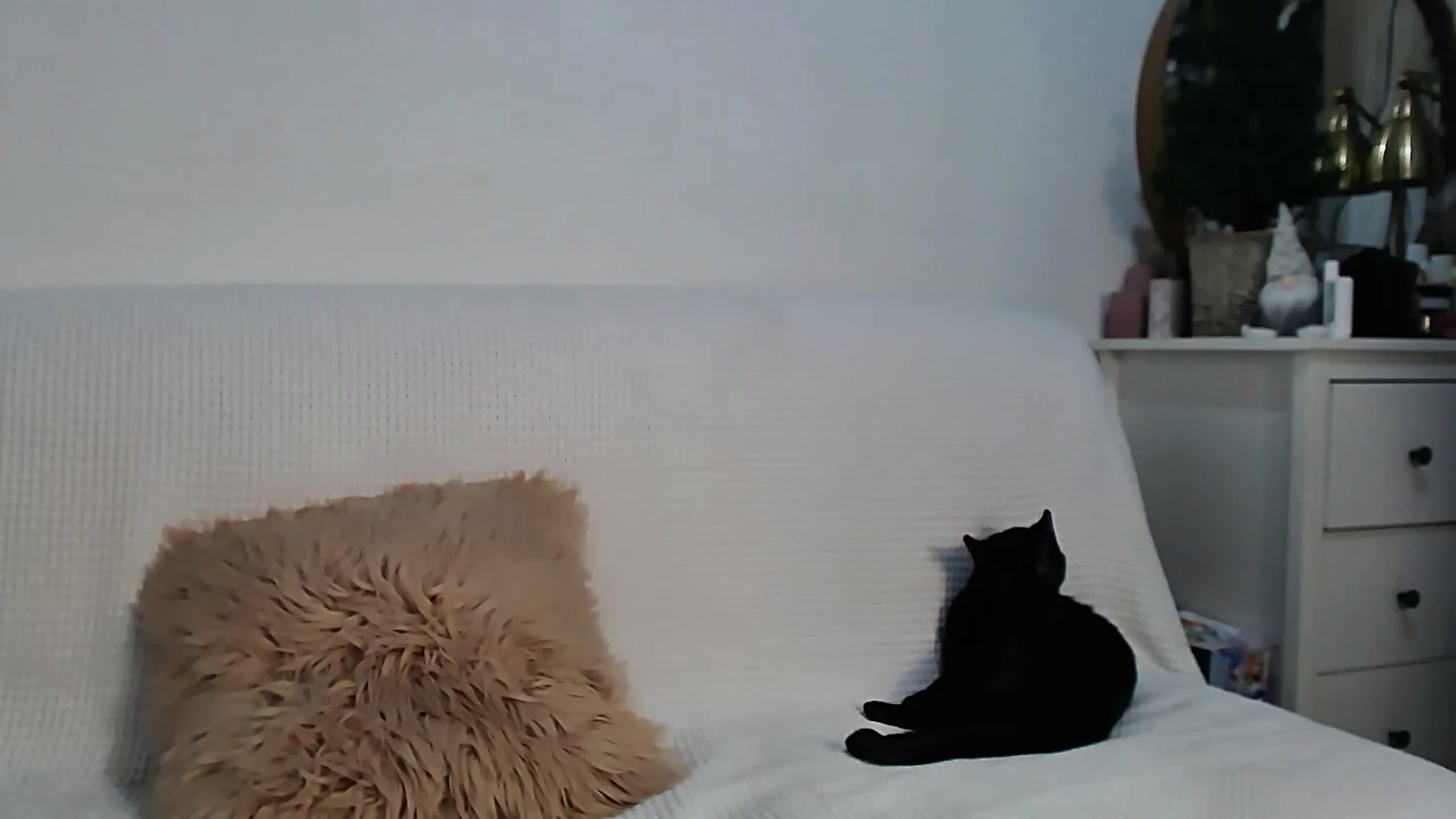 Gallery image thumbnail from HottieEva_'s myfreecams stream on, 01/26/2023, 23:35 image 15 of 20