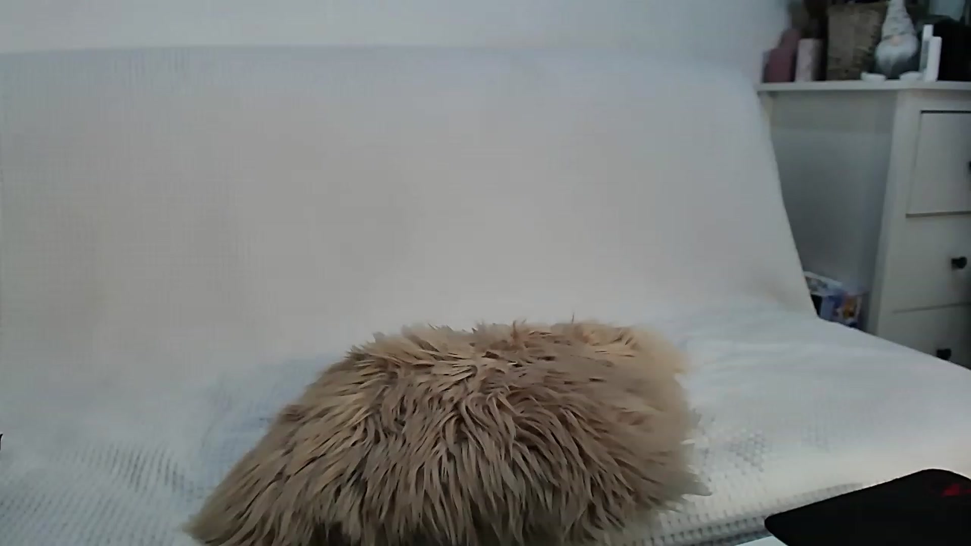 Gallery image thumbnail from HottieEva_'s myfreecams stream on, 01/27/2023, 23:28 image 13 of 20
