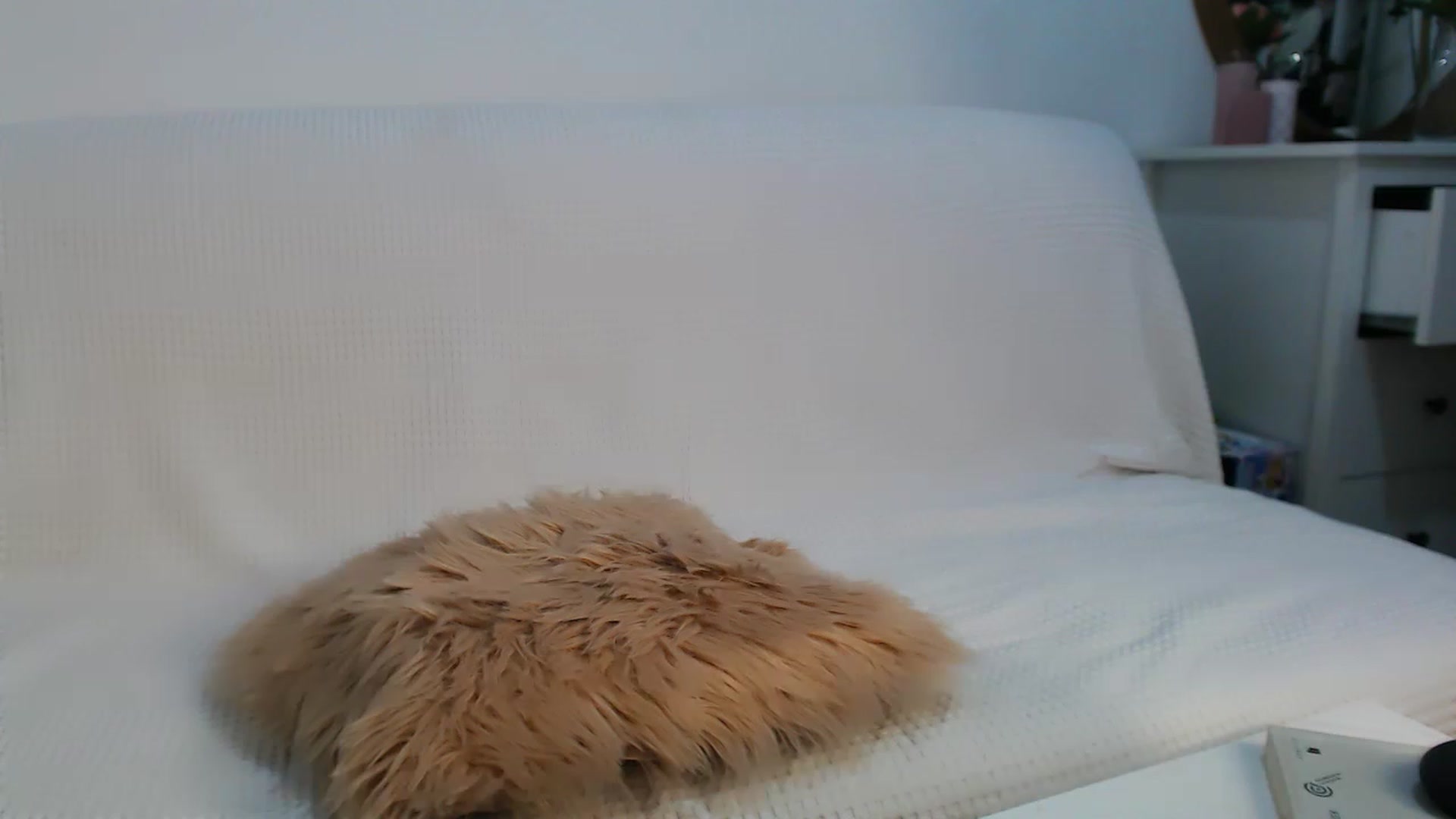 Gallery image thumbnail from HottieEva_'s myfreecams stream on, 02/13/2023, 23:20 image 20 of 20
