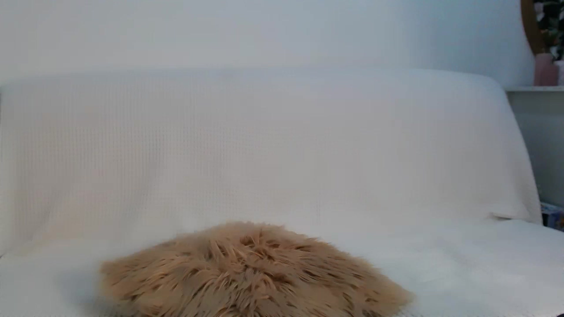 Gallery image thumbnail from HottieEva_'s myfreecams stream on, 02/13/2023, 23:20 image 9 of 20