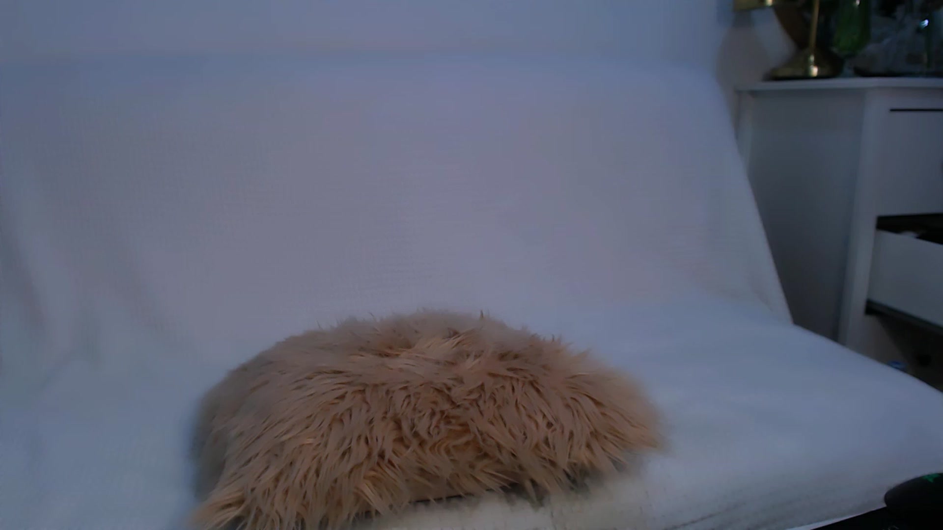 Gallery image thumbnail from HottieEva_'s myfreecams stream on, 03/27/2023, 22:27 image 19 of 20