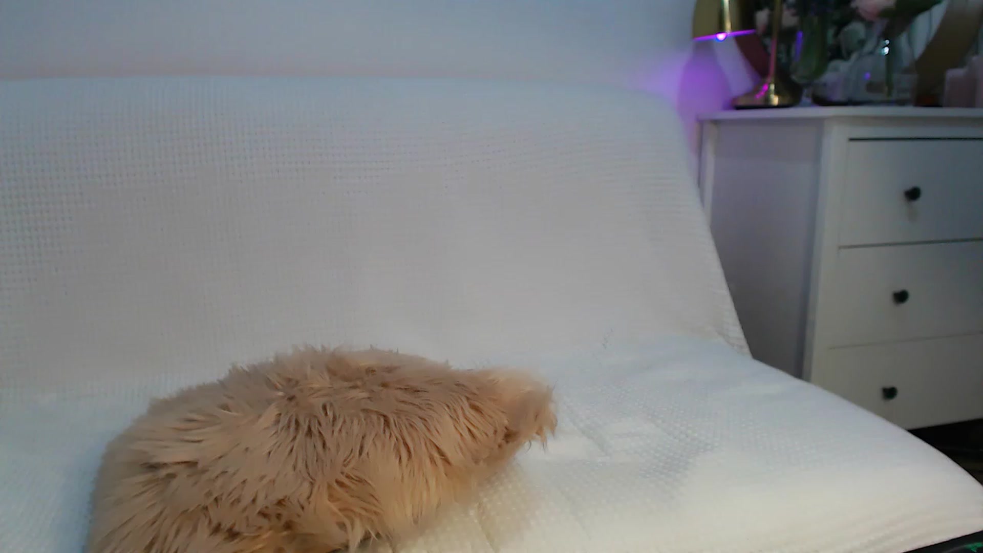 Gallery image thumbnail from HottieEva_'s myfreecams stream on, 03/29/2023, 23:05 image 9 of 20
