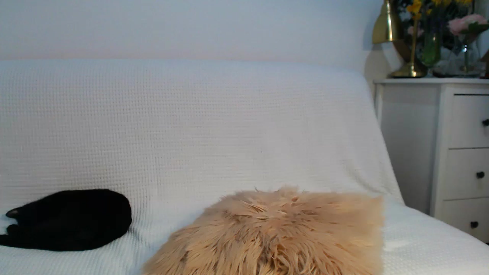 Gallery image thumbnail from HottieEva_'s myfreecams stream on, 03/30/2023, 22:54 image 14 of 20