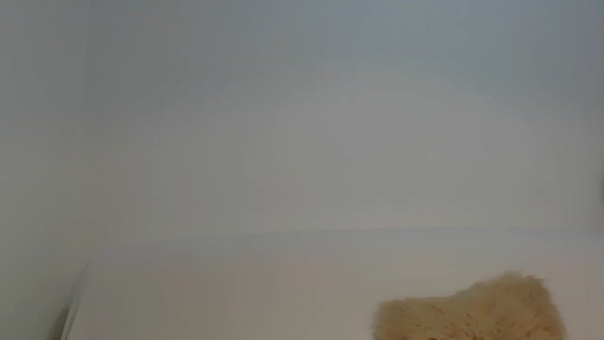 Gallery image thumbnail from HottieEva_'s myfreecams stream on, 08/23/2023, 22:26 image 19 of 20