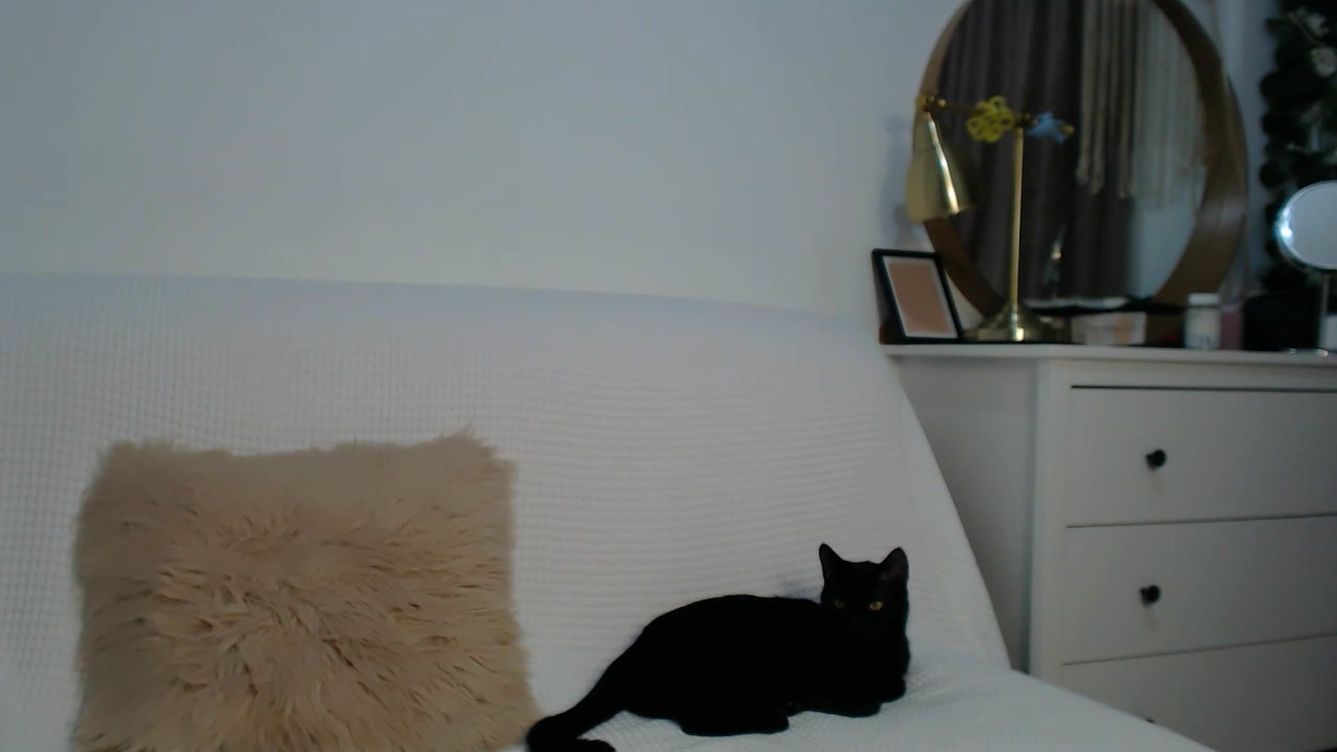 Gallery image thumbnail from HottieEva_'s myfreecams stream on, 11/15/2023, 23:27 image 19 of 20