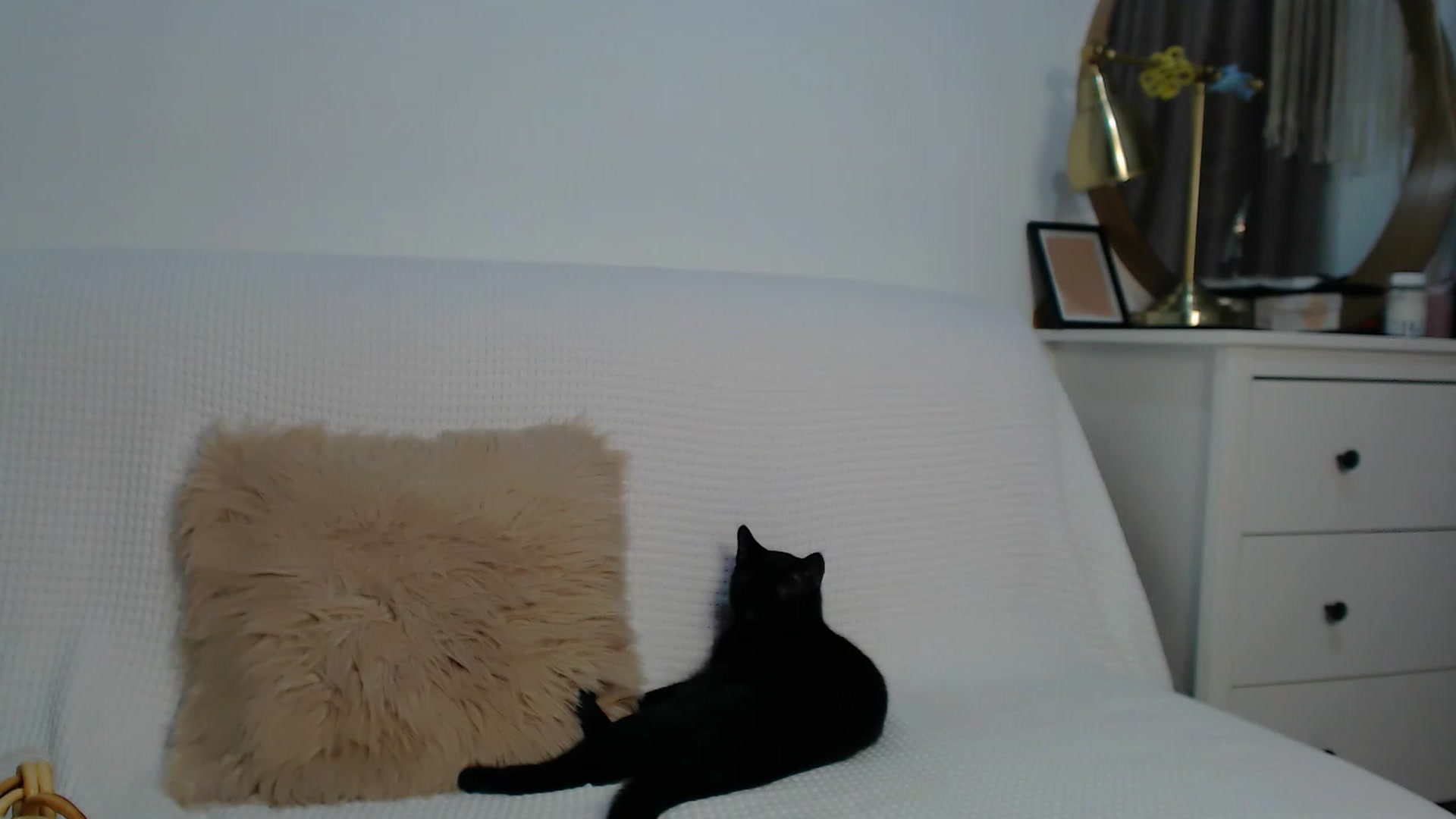 Gallery image thumbnail from HottieEva_'s myfreecams stream on, 11/15/2023, 23:27 image 12 of 20