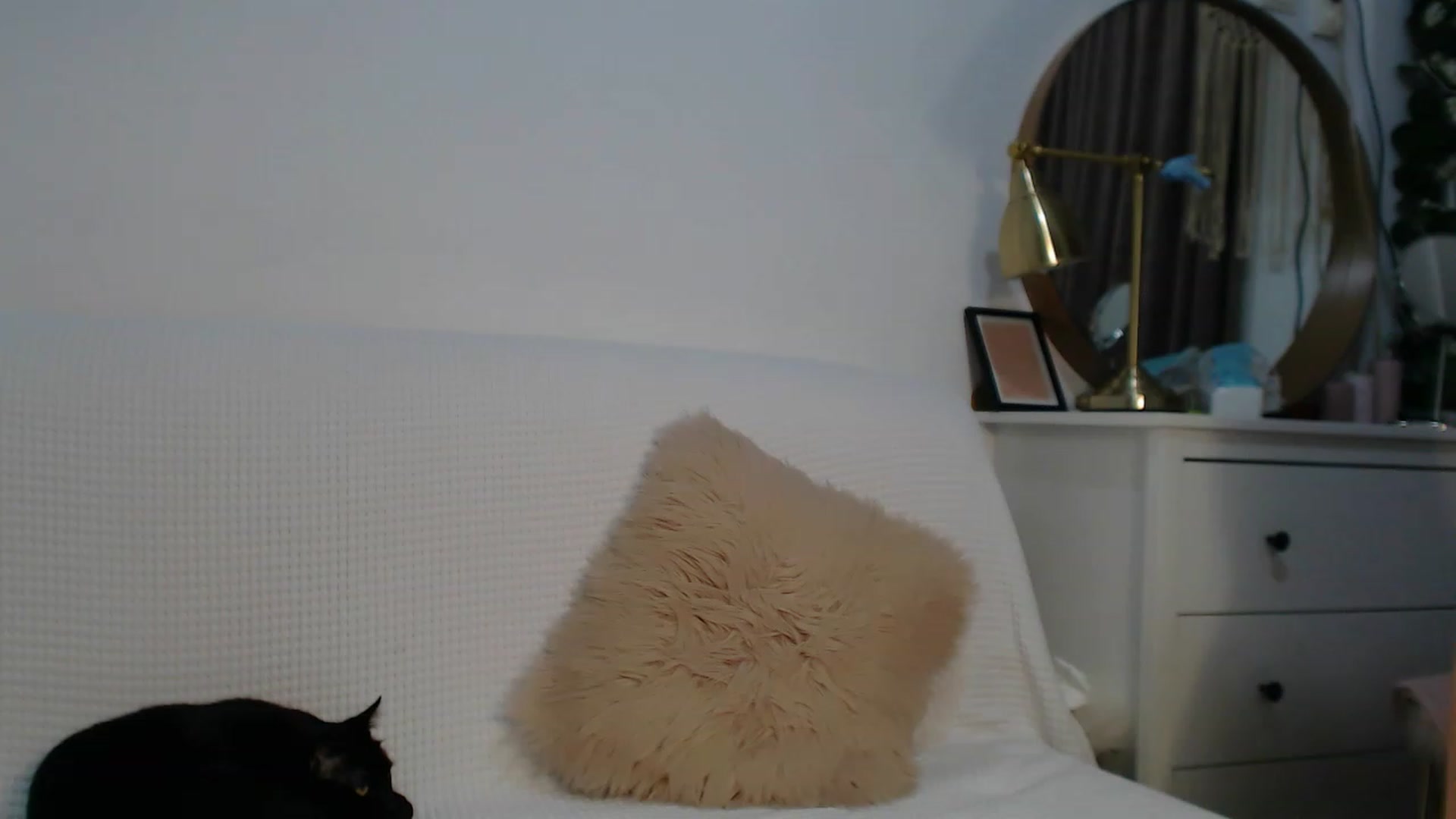 Gallery image thumbnail from HottieEva_'s myfreecams stream on, 11/30/2023, 24:22 image 17 of 20