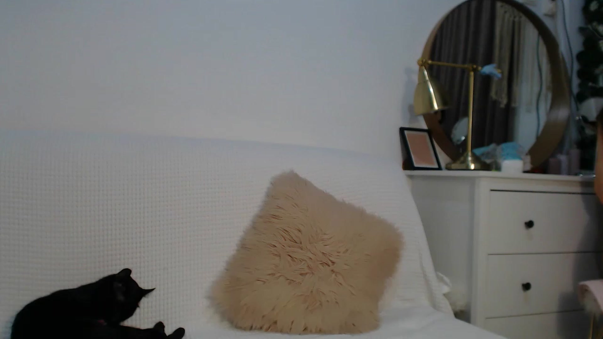 Gallery image thumbnail from HottieEva_'s myfreecams stream on, 11/30/2023, 24:22 image 16 of 20