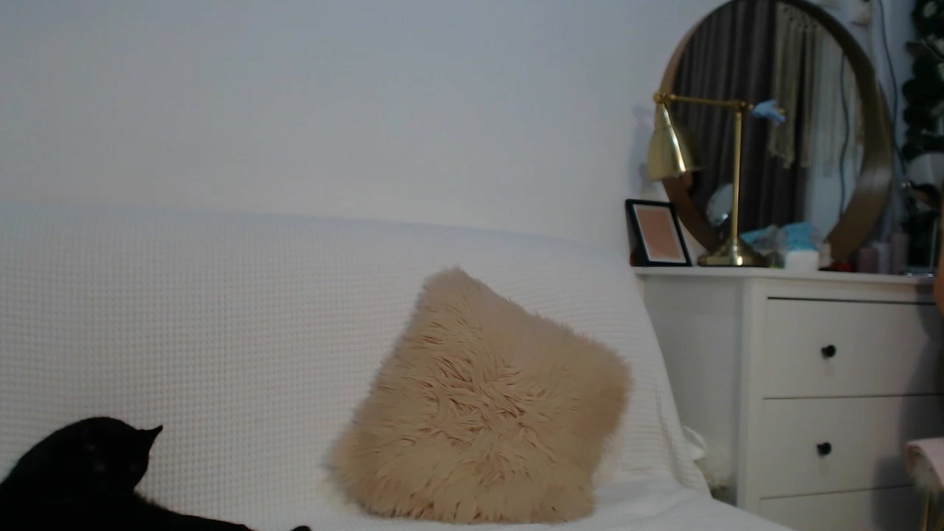 Gallery image thumbnail from HottieEva_'s myfreecams stream on, 11/30/2023, 24:22 image 15 of 20
