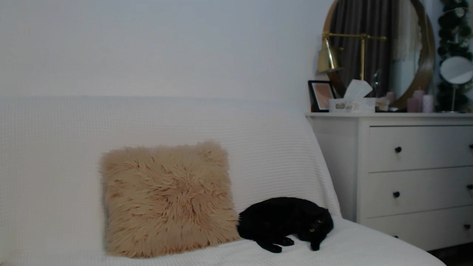 Gallery image thumbnail from HottieEva_'s myfreecams stream on, 12/30/2023, 23:41 image 2 of 20