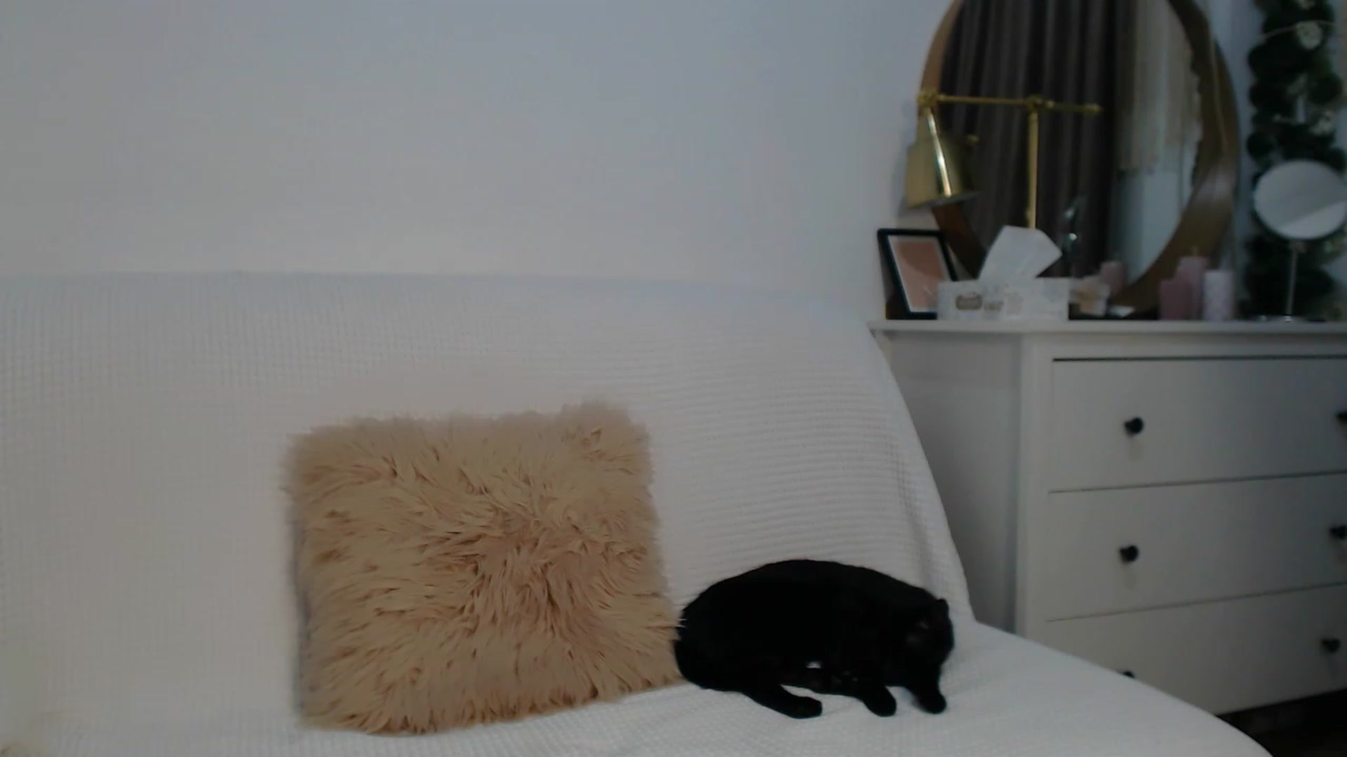 Gallery image thumbnail from HottieEva_'s myfreecams stream on, 12/30/2023, 23:41 image 1 of 20