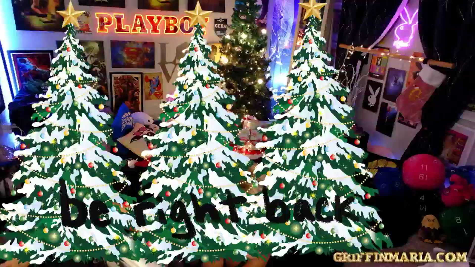 Gallery image thumbnail from House_of_G's myfreecams stream on, 12/02/2025, 03:42 image 14 of 20