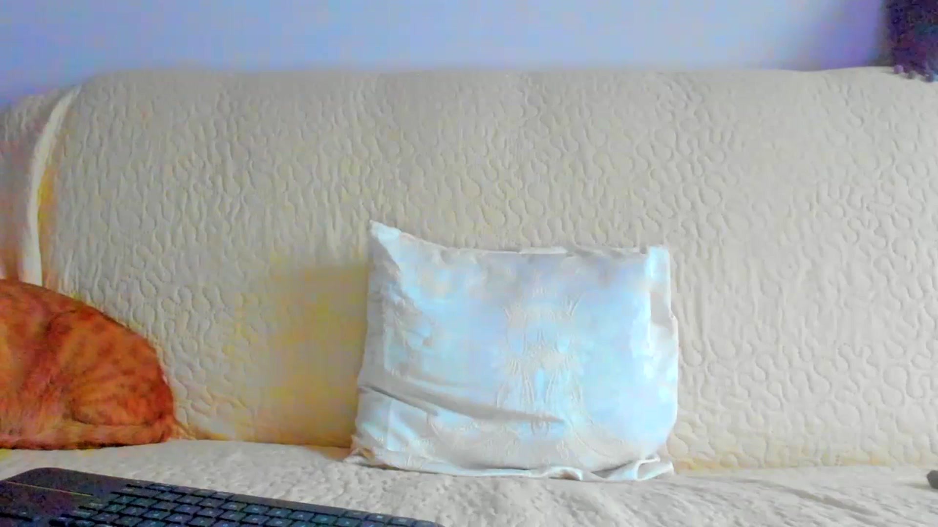 Gallery image thumbnail from Houseofcats's myfreecams stream on, 07/20/2023, 12:53 image 19 of 20