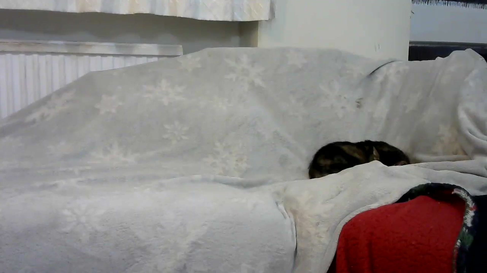 Gallery image thumbnail from Housewife2's myfreecams stream on, 06/06/2025, 24:49 image 17 of 20