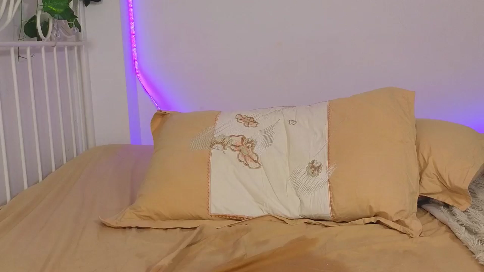 Gallery image thumbnail from Hqueen22's myfreecams stream on, 05/29/2024, 16:58 image 11 of 20