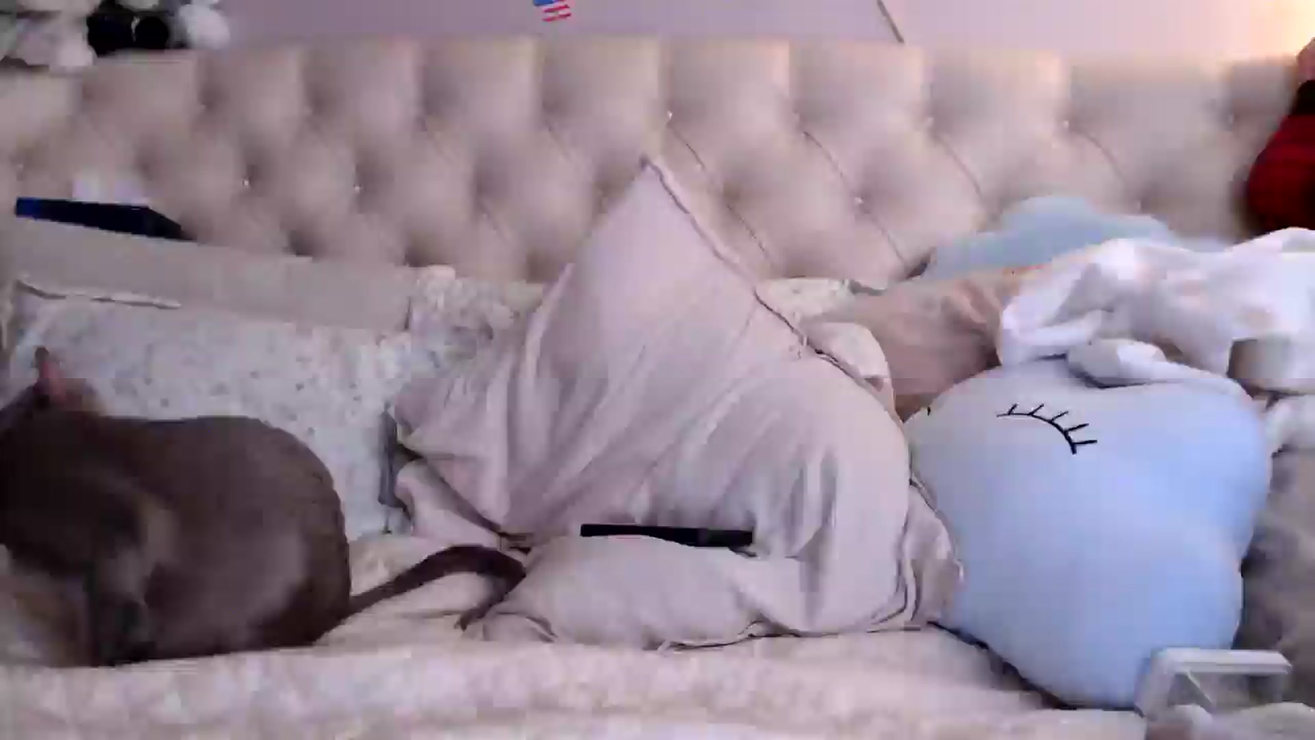 Gallery image thumbnail from HurricaneKat_'s myfreecams stream on, 09/04/2025, 21:47 image 5 of 20
