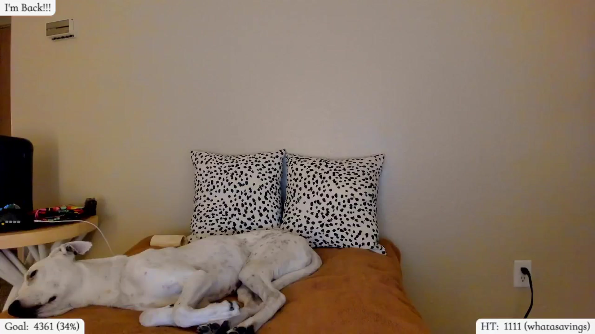 Gallery image thumbnail from HurricaneLexi's myfreecams stream on, 01/30/2026, 05:26 image 9 of 20