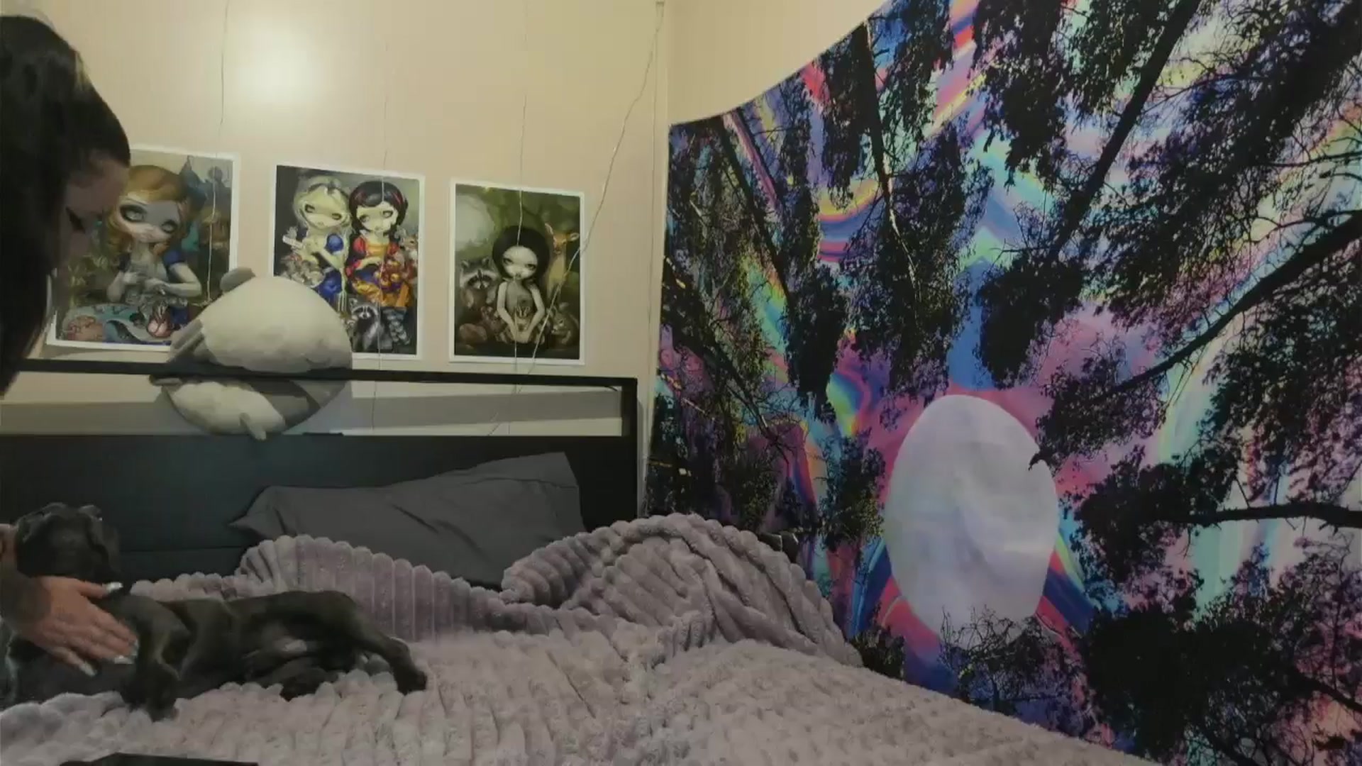 Gallery image thumbnail from Hxzel's myfreecams stream on, 07/15/2024, 18:39 image 14 of 20