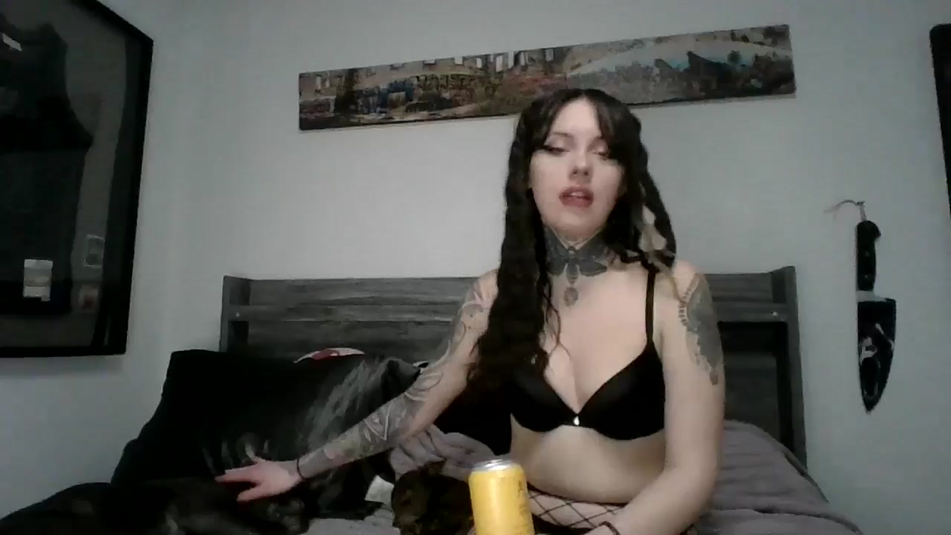 Gallery image thumbnail from Hxzel's myfreecams stream on, 03/14/2025, 03:57 image 8 of 20