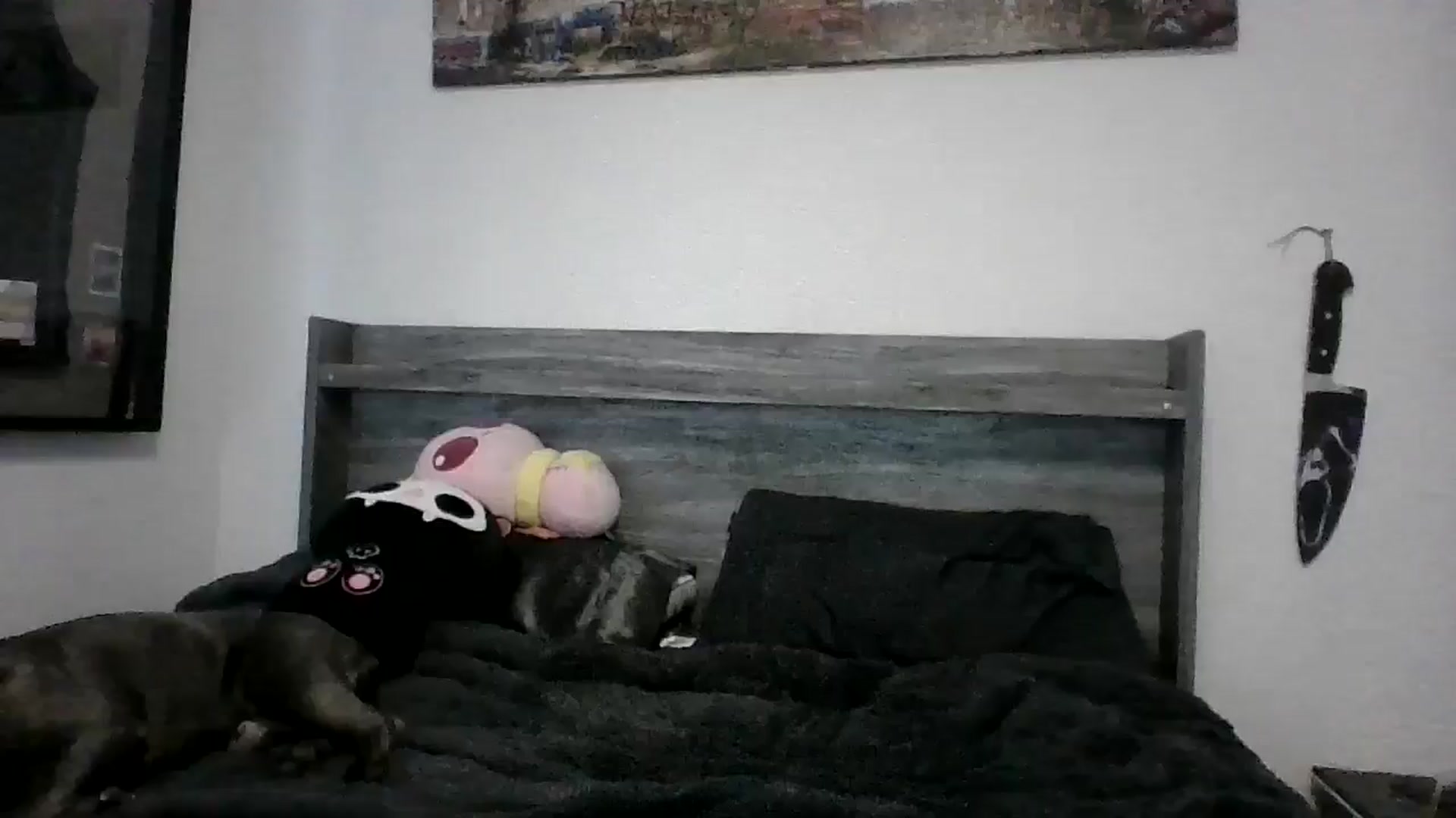 Gallery image thumbnail from Hxzel's myfreecams stream on, 03/21/2025, 01:04 image 1 of 20