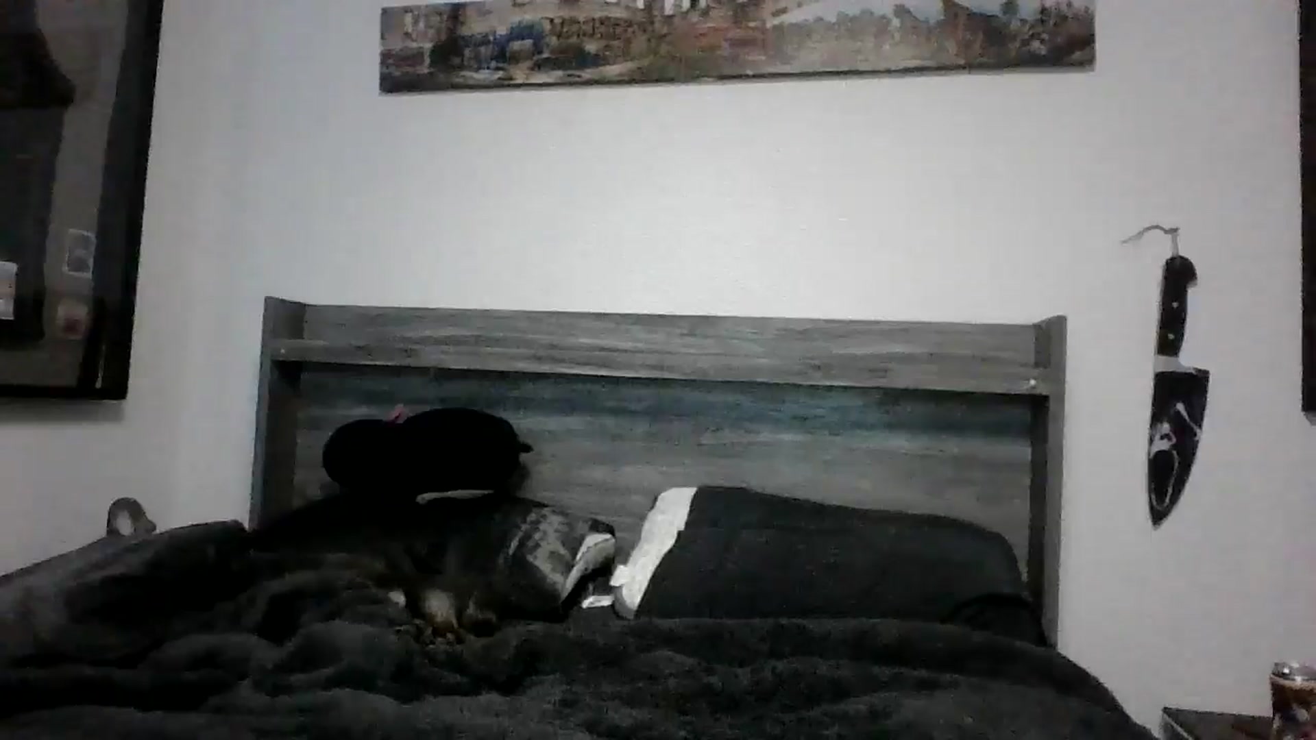 Gallery image thumbnail from Hxzel's myfreecams stream on, 03/21/2025, 03:13 image 8 of 20
