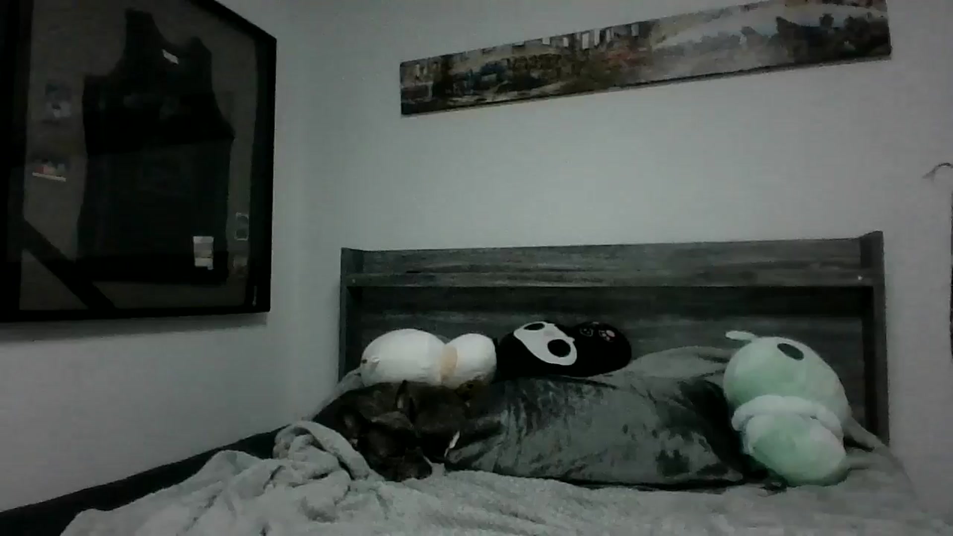 Gallery image thumbnail from Hxzel's myfreecams stream on, 04/23/2025, 03:42 image 17 of 20