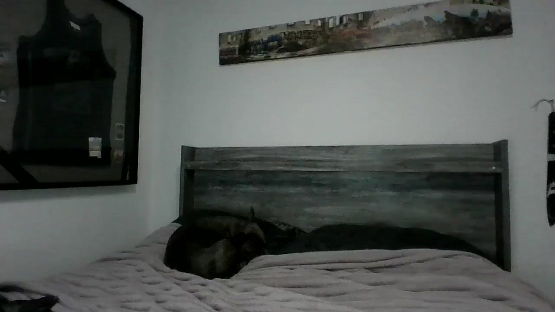 Gallery image thumbnail from Hxzel's myfreecams stream on, 04/30/2025, 03:19 image 15 of 20