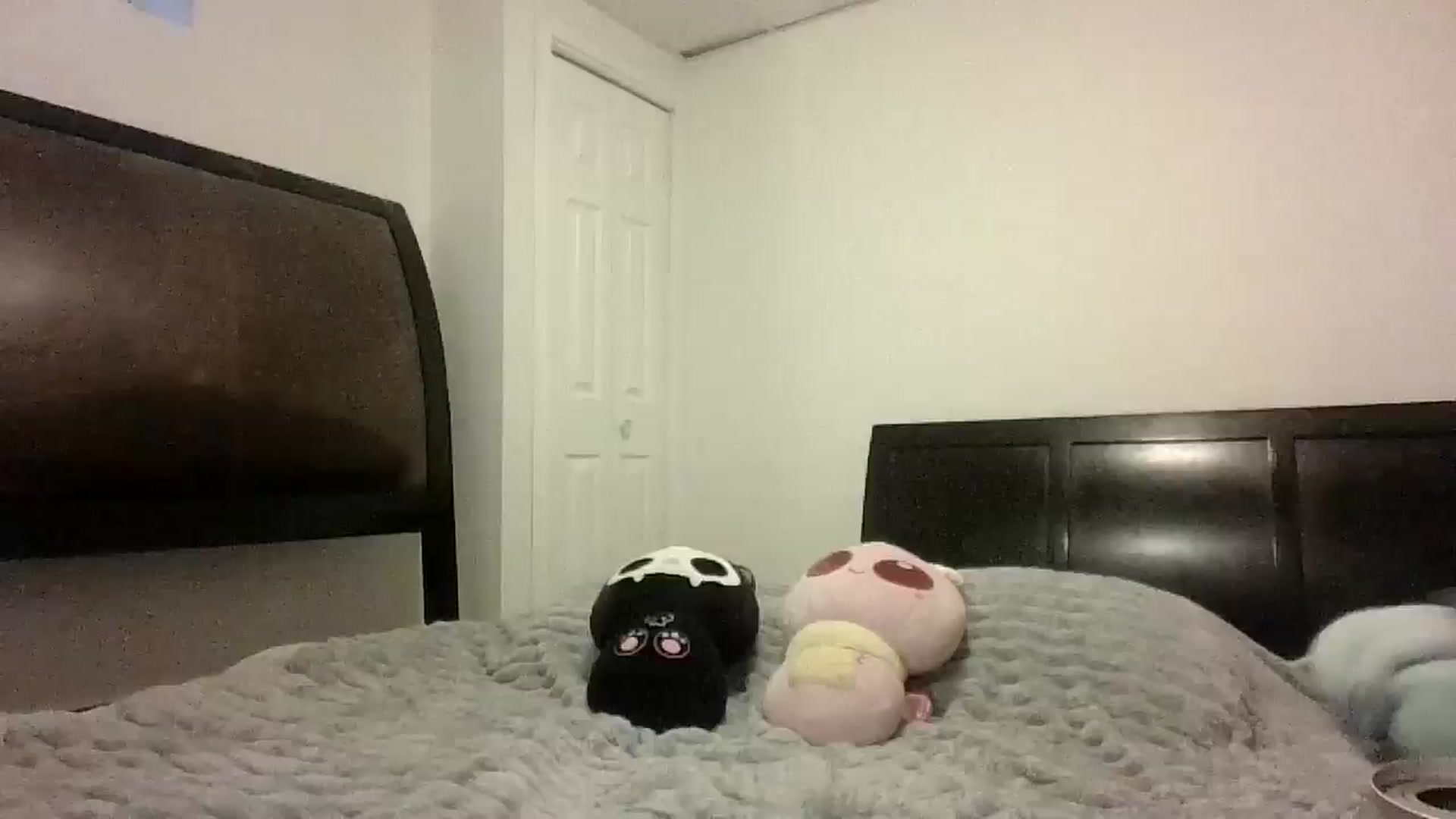 Gallery image thumbnail from Hxzel's myfreecams stream on, 07/24/2025, 02:31 image 19 of 20
