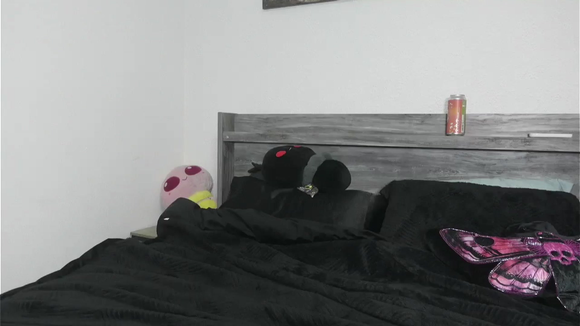 Gallery image thumbnail from Hxzel's myfreecams stream on, 03/07/2026, 04:29 image 18 of 20