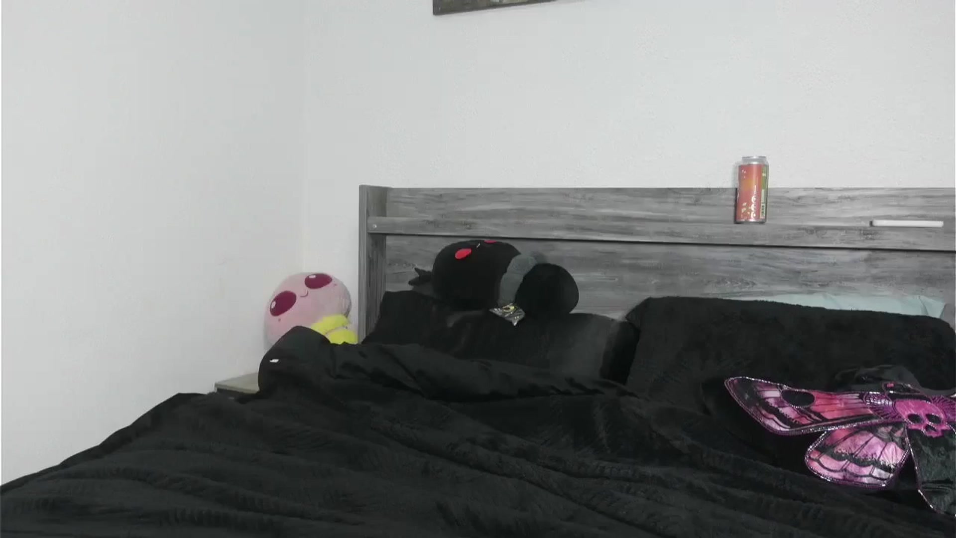 Gallery image thumbnail from Hxzel's myfreecams stream on, 03/07/2026, 04:29 image 20 of 20
