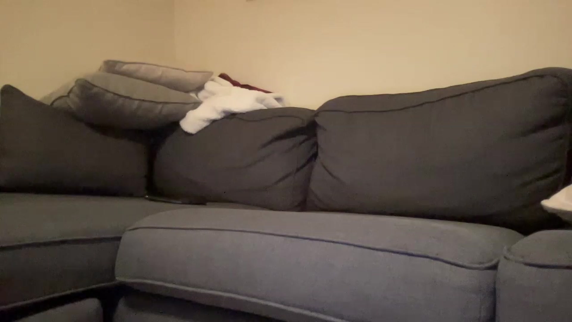 Gallery image thumbnail from IAbabe's myfreecams stream on, 05/03/2023, 08:35 image 2 of 20