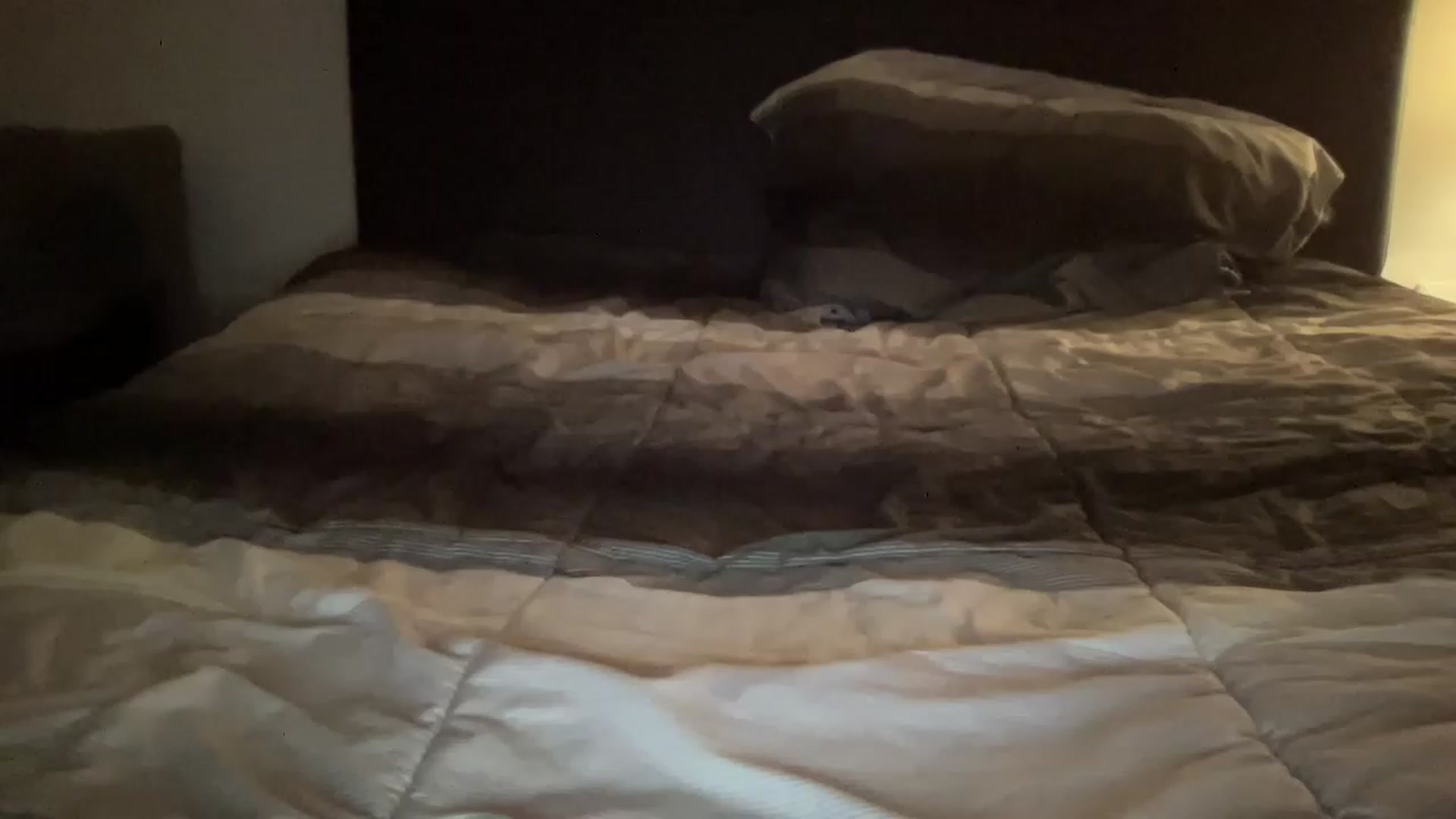 Gallery image thumbnail from IAbabe's myfreecams stream on, 05/09/2023, 07:39 image 3 of 20