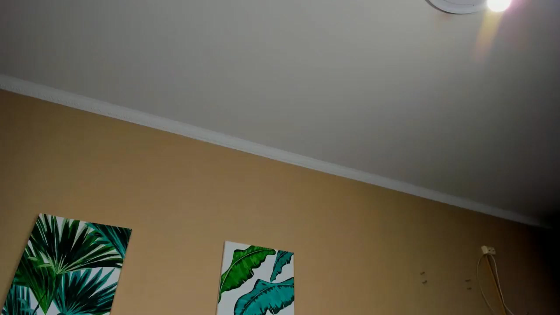 Gallery image thumbnail from IFlowersGirl's myfreecams stream on, 05/17/2025, 12:41 image 15 of 20