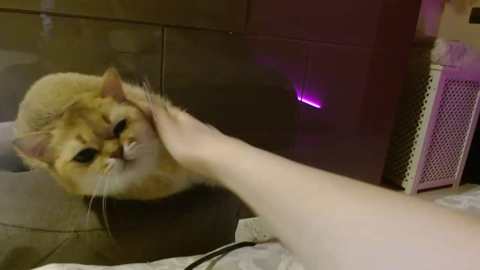 Gallery image thumbnail from IRONYGIRL's myfreecams stream on, 04/17/2023, 03:41 image 15 of 20