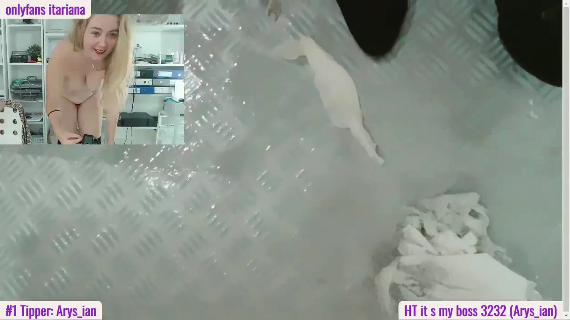 Gallery image thumbnail from IT_Ariana's myfreecams stream on, 02/05/2024, 21:46 image 15 of 20