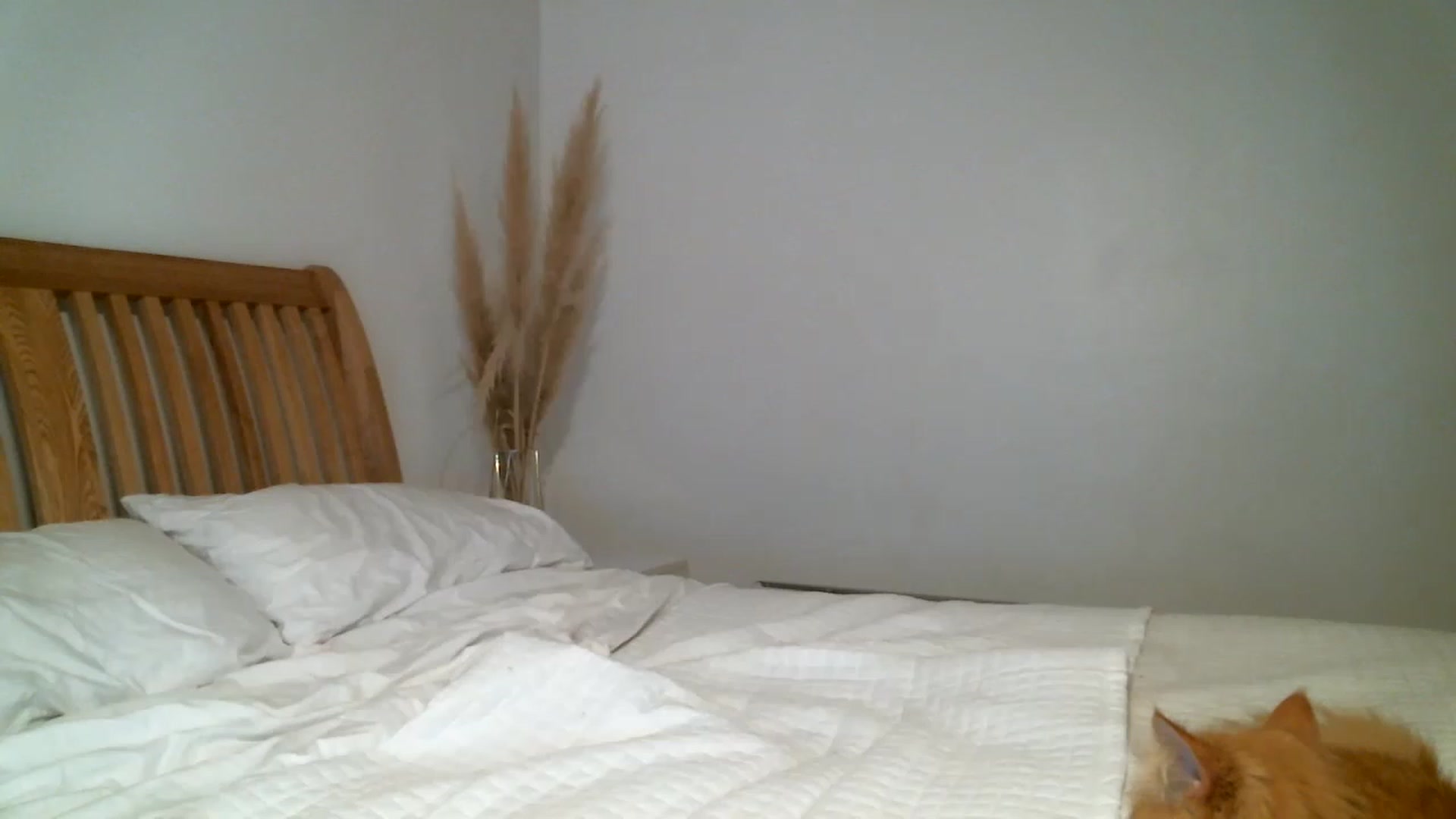 Gallery image thumbnail from IamMayaRoseX's myfreecams stream on, 04/20/2023, 19:25 image 1 of 20
